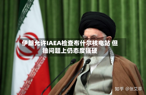 伊朗允许IAEA检查布什尔核电站 但铀问题上仍态度强硬-第2张图片
