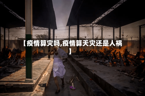 【疫情算灾吗,疫情算天灾还是人祸】