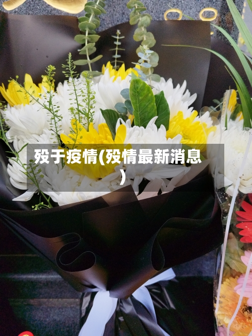 殁于疫情(殁情最新消息)