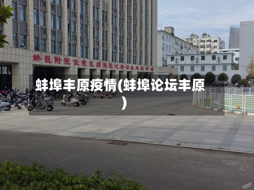 蚌埠丰原疫情(蚌埠论坛丰原)