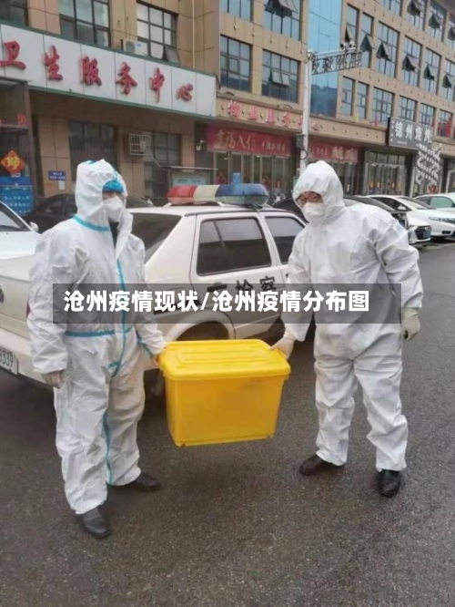 沧州疫情现状/沧州疫情分布图