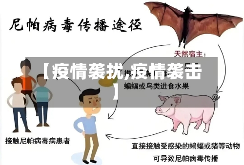 【疫情袭扰,疫情袭击】
