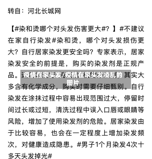 疫情在家头发/疫情在家头发凌乱的图片-第3张图片