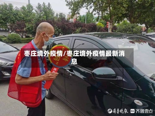 枣庄境外疫情/枣庄境外疫情最新消息-第2张图片
