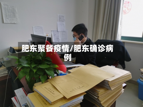 肥东聚餐疫情/肥东确诊病例
