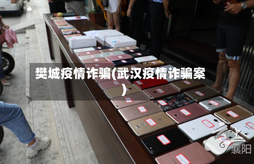 樊城疫情诈骗(武汉疫情诈骗案)