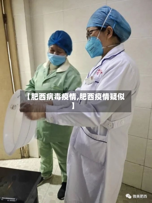 【肥西病毒疫情,肥西疫情疑似】