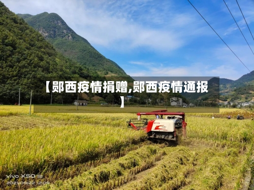 【郧西疫情捐赠,郧西疫情通报】-第2张图片