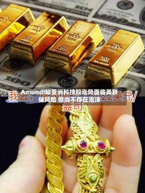Amundi称亚洲科技股涨势面临美联储风险 但尚不存在泡沫-第3张图片