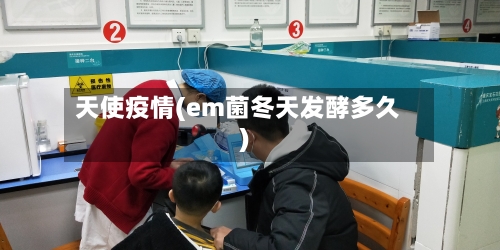天使疫情(em菌冬天发酵多久)-第2张图片