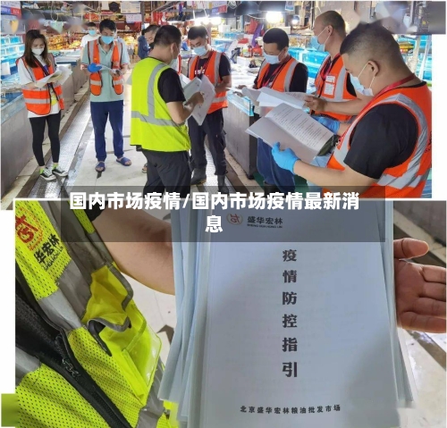 国内市场疫情/国内市场疫情最新消息