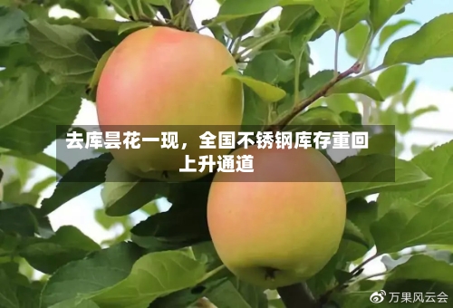 去库昙花一现，全国不锈钢库存重回上升通道