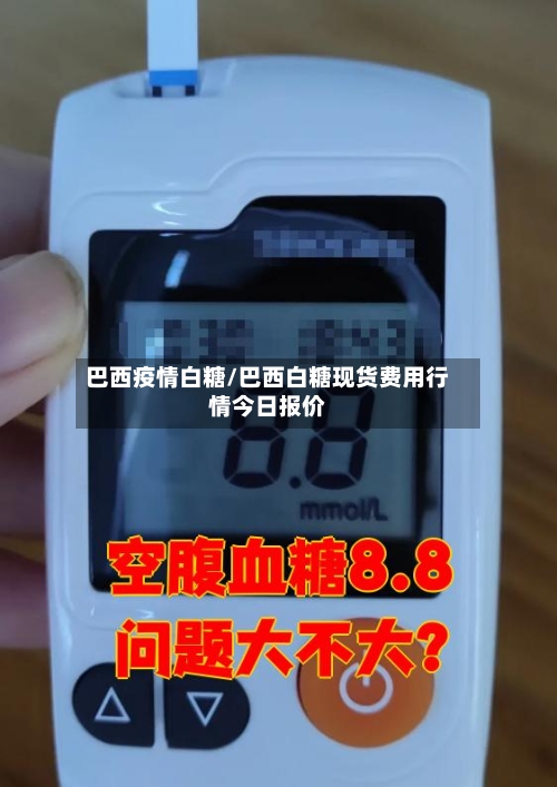 巴西疫情白糖/巴西白糖现货费用行情今日报价-第3张图片
