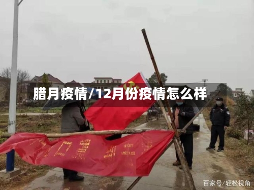 腊月疫情/12月份疫情怎么样
