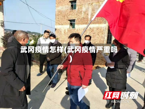 武冈疫情怎样(武冈疫情严重吗)