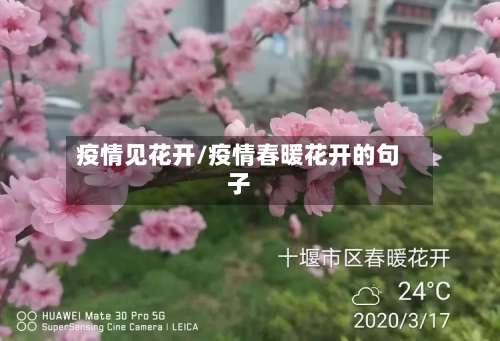 疫情见花开/疫情春暖花开的句子