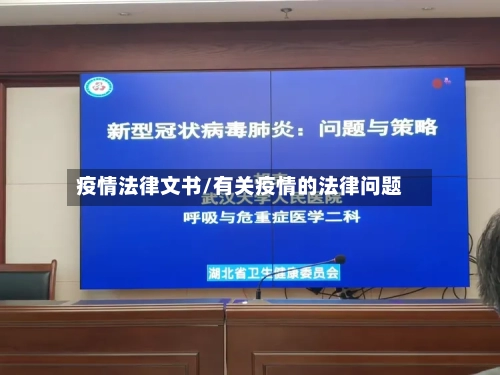 疫情法律文书/有关疫情的法律问题-第3张图片