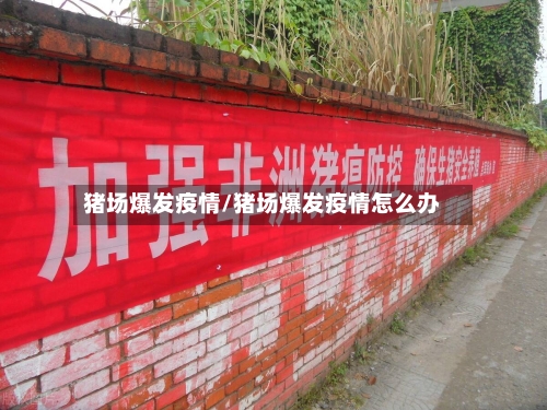 猪场爆发疫情/猪场爆发疫情怎么办