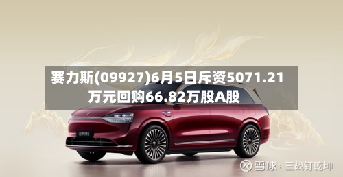 赛力斯(09927)6月5日斥资5071.21万元回购66.82万股A股
