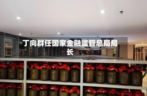 丁向群任国家金融监管总局局长-第2张图片