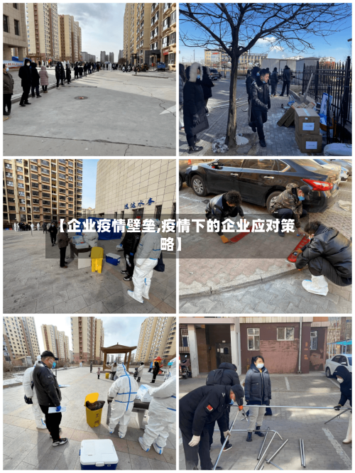 【企业疫情壁垒,疫情下的企业应对策略】-第2张图片