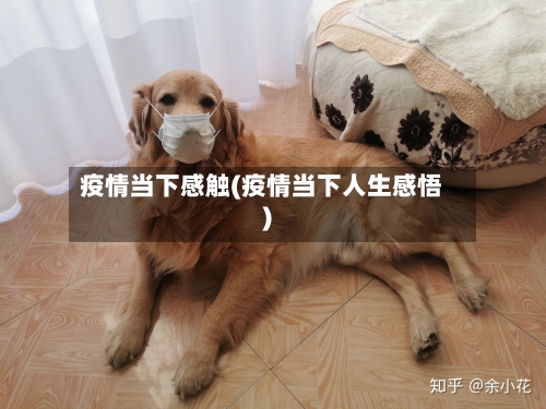 疫情当下感触(疫情当下人生感悟)