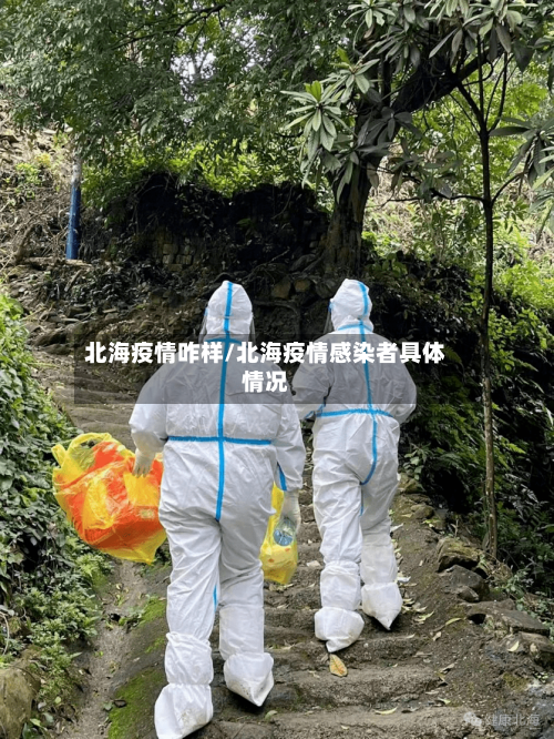 北海疫情咋样/北海疫情感染者具体情况-第2张图片