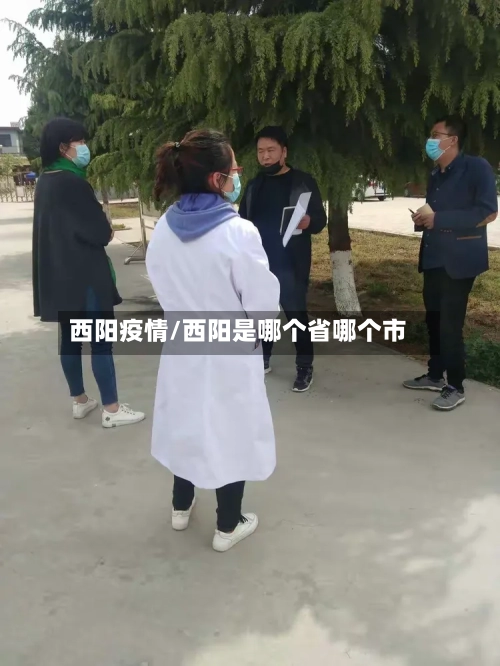 西阳疫情/西阳是哪个省哪个市-第3张图片