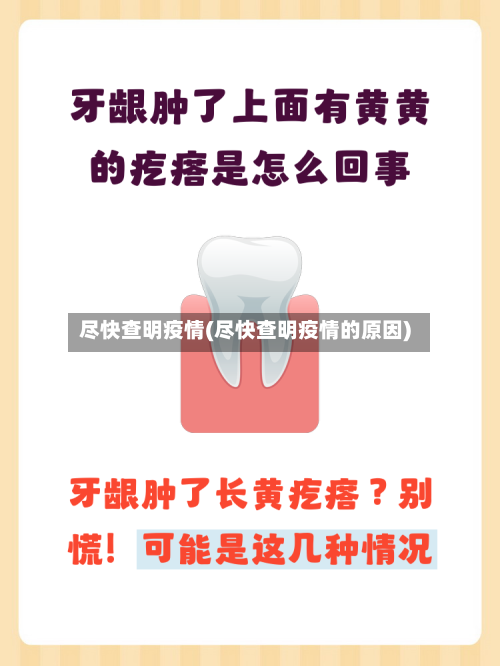 尽快查明疫情(尽快查明疫情的原因)-第3张图片