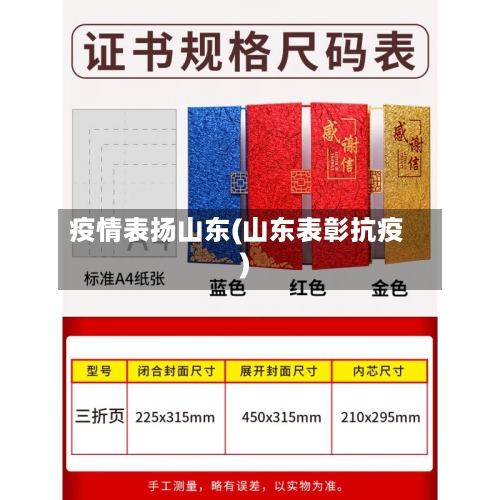 疫情表扬山东(山东表彰抗疫)-第2张图片