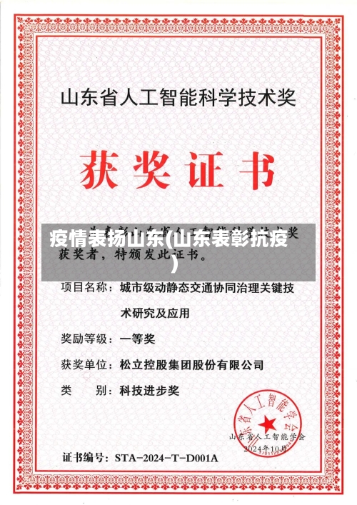 疫情表扬山东(山东表彰抗疫)-第3张图片