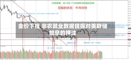 金价下挫 非农就业数据提振对美联储加息的押注-第2张图片
