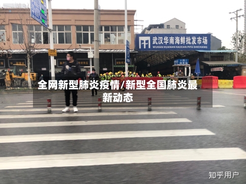 全网新型肺炎疫情/新型全国肺炎最新动态-第2张图片