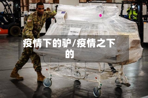 疫情下的驴/疫情之下的-第2张图片
