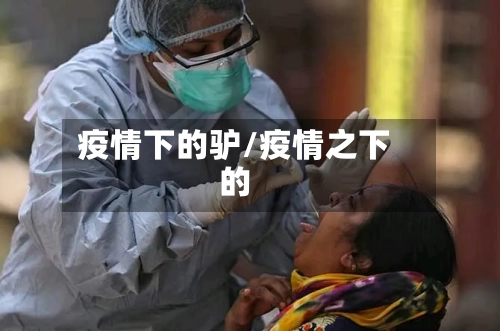 疫情下的驴/疫情之下的-第3张图片