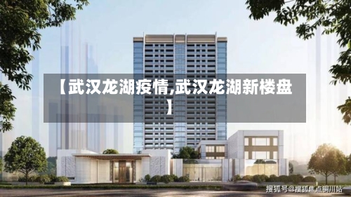 【武汉龙湖疫情,武汉龙湖新楼盘】-第2张图片