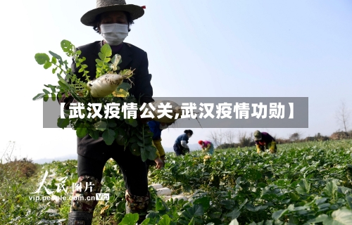 【武汉疫情公关,武汉疫情功勋】-第3张图片