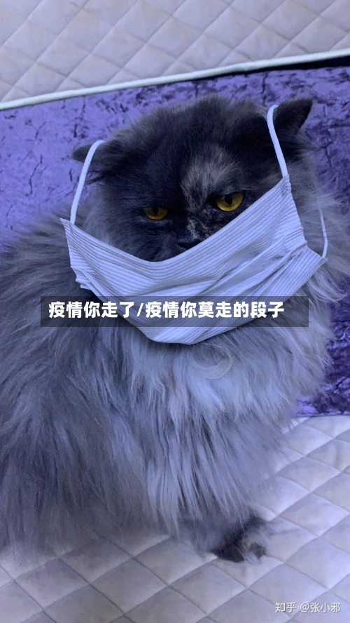 疫情你走了/疫情你莫走的段子
