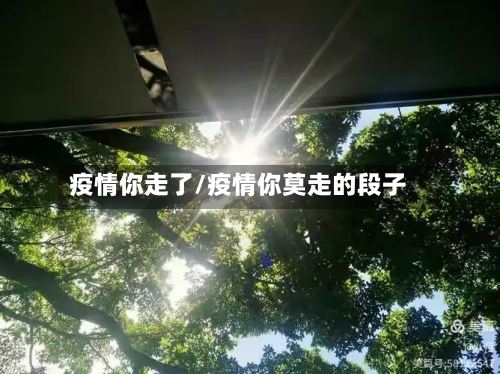 疫情你走了/疫情你莫走的段子-第2张图片