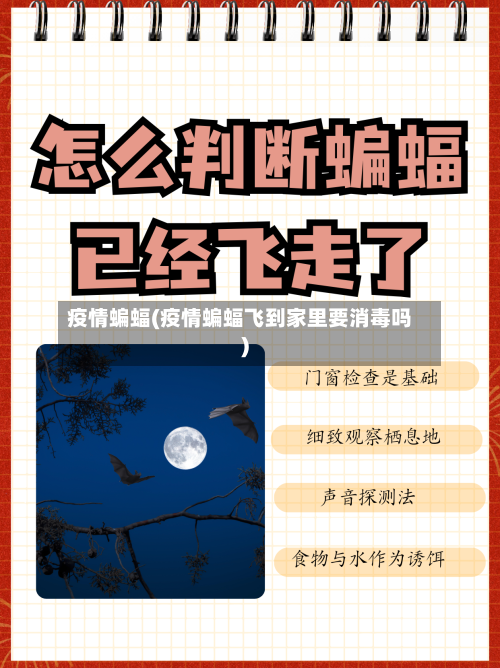 疫情蝙蝠(疫情蝙蝠飞到家里要消毒吗)