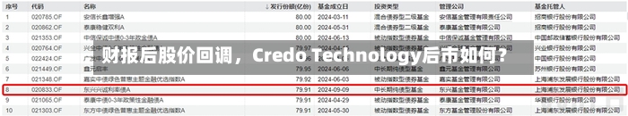 财报后股价回调，Credo Technology后市如何？