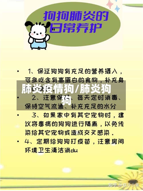 肺炎疫情狗/肺炎狗狗-第2张图片