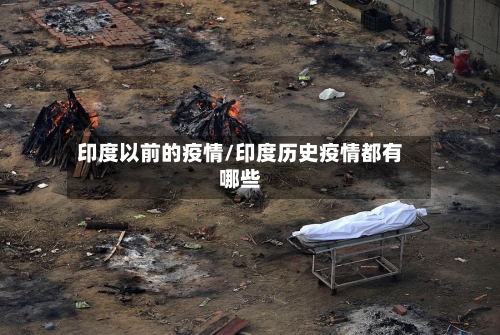 印度以前的疫情/印度历史疫情都有哪些-第2张图片