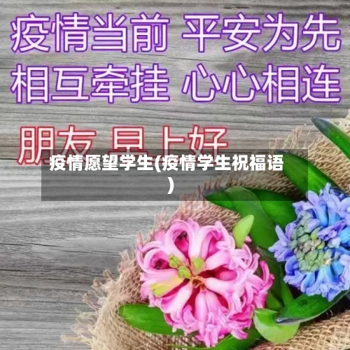 疫情愿望学生(疫情学生祝福语)-第2张图片