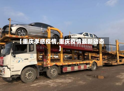 【重庆孝感疫情,重庆疫情最新动态】-第2张图片