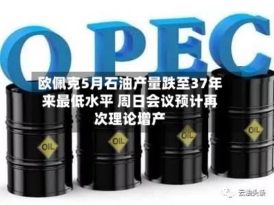欧佩克5月石油产量跌至37年来最低水平 周日会议预计再次理论增产-第2张图片