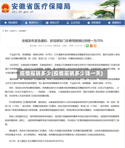 疫情报销多少(疫情报销多少钱一天)