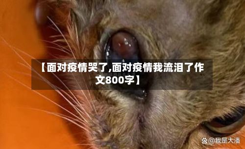 【面对疫情哭了,面对疫情我流泪了作文800字】-第2张图片