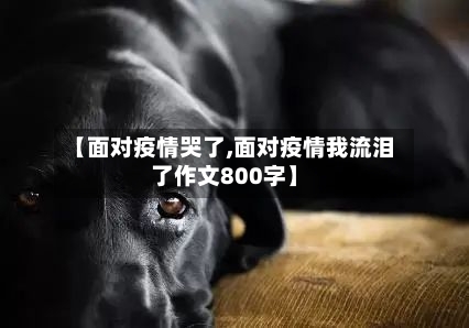 【面对疫情哭了,面对疫情我流泪了作文800字】-第3张图片