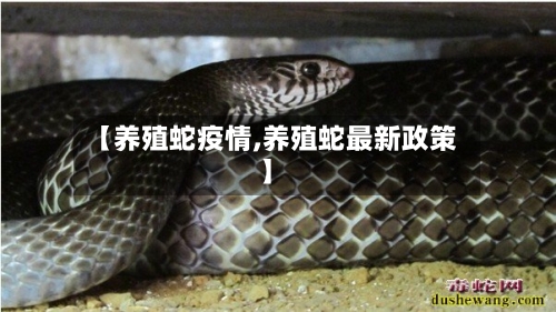 【养殖蛇疫情,养殖蛇最新政策】